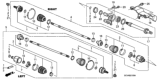 Diagram for 2008 Honda Element Axle Shaft - 44305-SCV-A91