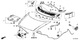Diagram for Honda CR-Z Hood Hinge - 60170-SZT-G00ZZ