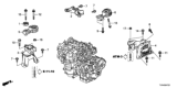 Diagram for Honda Accord Engine Mount - 50820-TVA-A11