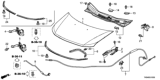 Diagram for 2012 Honda Odyssey Hood Hinge - 60120-TK8-A00ZZ