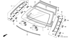 Diagram for 1996 Honda Accord Weather Strip - 73125-SY8-000