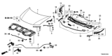 Diagram for Honda Civic Hood - 60100-TS8-A50ZZ