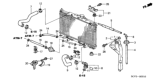 Diagram for Honda Element Transmission Oil Cooler Hose - 25213-PZD-006