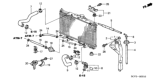 Diagram for 2005 Honda Element Cooling Hose - 19505-PZD-A00