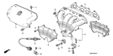 Diagram for 1998 Honda Accord Oxygen Sensor - 36531-PAA-307