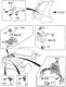 Diagram for Honda Passport Horn - 8-94329-560-0