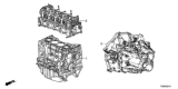 Diagram for 2014 Honda Civic Cylinder Head - 10003-RX0-A03