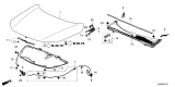 Diagram for Honda Civic Hybrid Hood - 60100-T20-A00ZZ