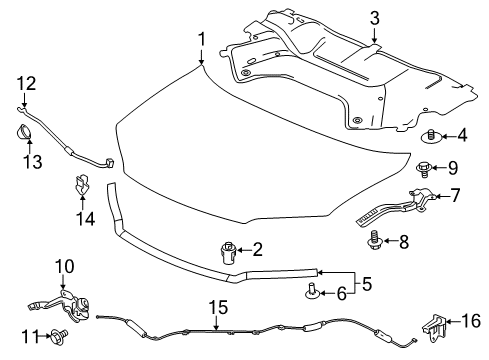 2023 Honda Ridgeline Hood & Components Diagram