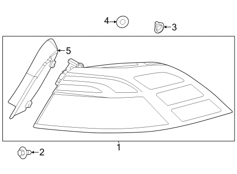 2023 Honda Accord Hybrid Tail Lamps Diagram