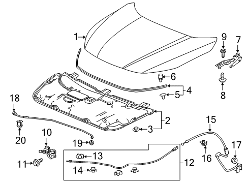 2022 Honda Insight Hood & Components Diagram