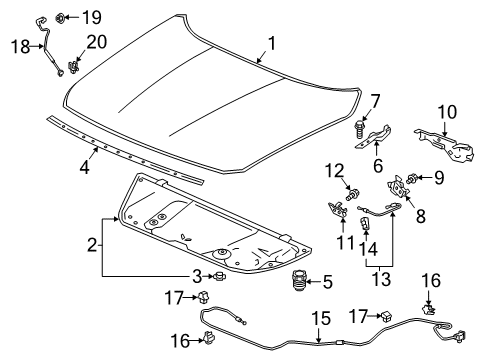 2022 Honda Accord Hood & Components Diagram