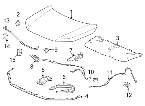 2024 Honda Pilot Hood & Components Diagram