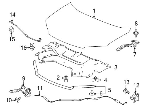 2022 Honda Passport Hood & Components Diagram