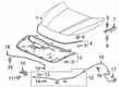 Diagram for Honda Insight Hood Latch - 74120-TXM-A02