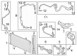 Diagram for Honda A/C Clutch - 38900-64S-A01