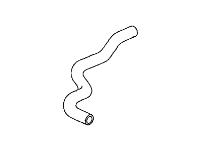 Honda 19501-RME-A00 Hose, Water (Upper)