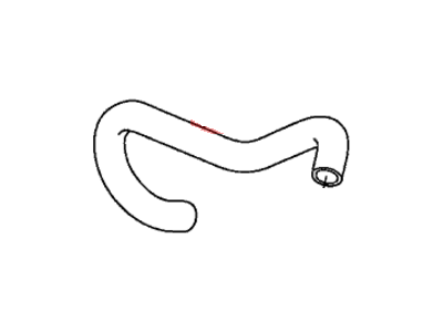 Honda 19504-RRA-A01 Hose, Water (Lower)