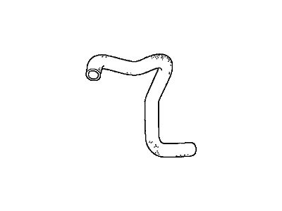 Honda 19502-RGW-A00 Hose, Water (Lower)