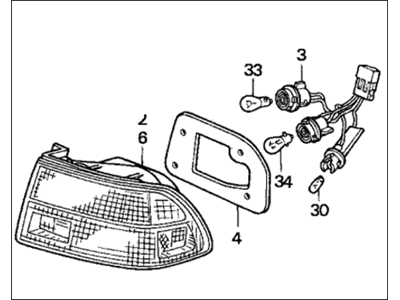 Honda 33550-SR4-A01 Taillight Assy., L.