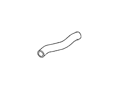 Honda 19501-RNA-A01 Hose, Water (Upper)