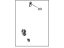 Honda 8-97153-065-1 Lock, R. FR. Door