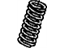 Honda 14761-RNA-A01 Spring, In. Valve (Violet) (Nippon Hatsujo)