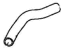 Honda 19501-5RD-A00 HOSE, WATER (UPPER)