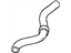 Honda 19501-RGL-A00 Hose, Water (Upper)