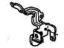 Honda 21516-RAY-000 Stay A, Temperature Sensor Harness (ATf)