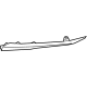 Honda 71167-TVA-F10 MOLDING, L- FR